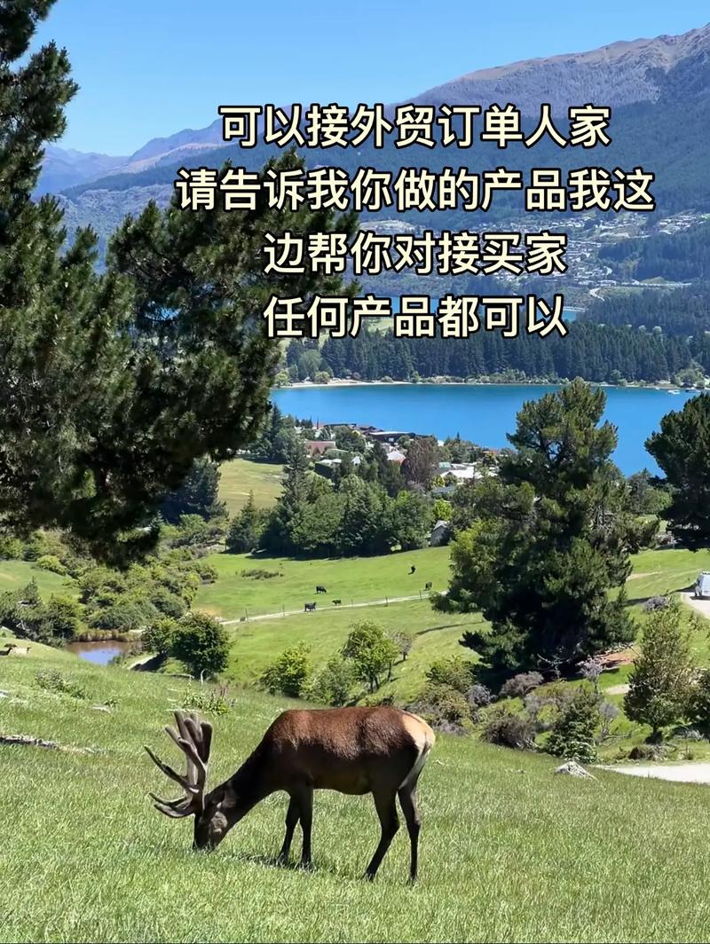 外贸订单安排啦.#外贸 #跨境电商 #源头工厂 #国际物流 - 抖音